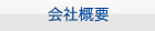 ЊTv